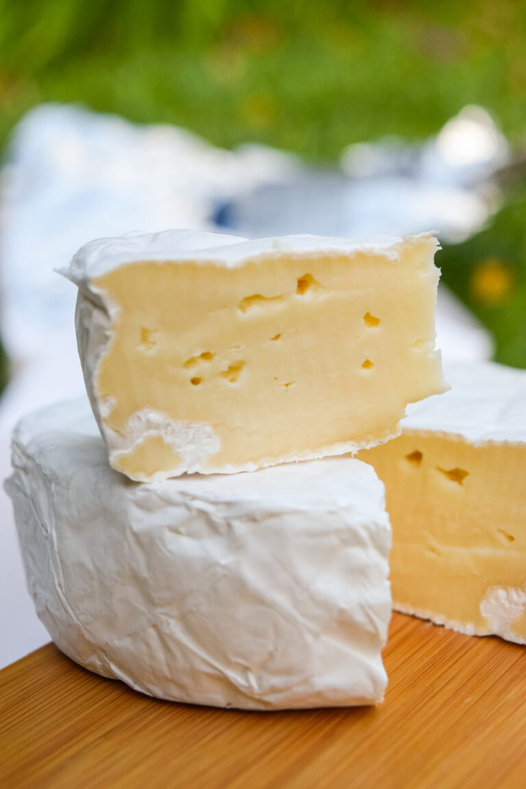 Ruta del Queso en Suipacha – Recorré los mejores sabores de Buenos Aires